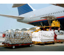 物流仓储与货物报关代理 现代国际贸易的基石